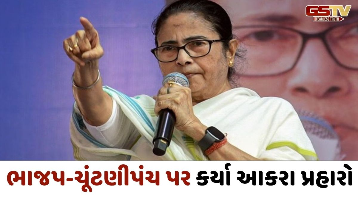 VIDEO : ‘મને ભાજપ અને ચૂંટણી પંચ પર વિશ્વાસ નથી’, ચૂંટણી સભાને સંબોધતા મમતાના સરકાર પર પ્રહાર