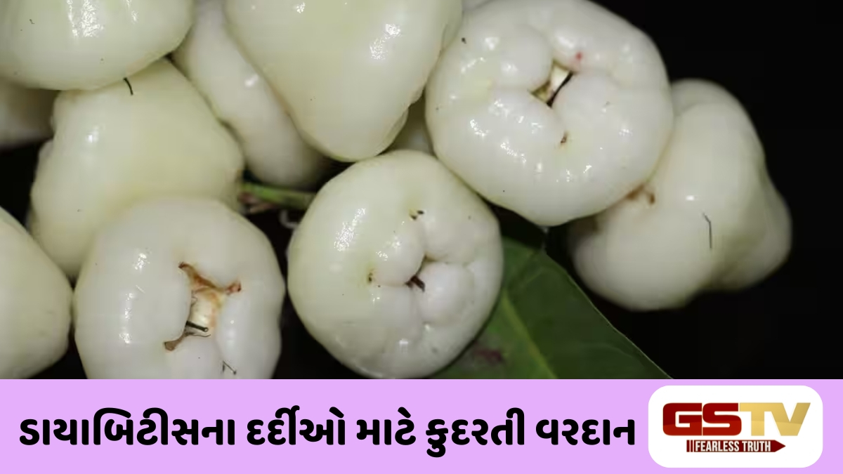 VIDEO : સફેદ જાંબુ છે ગુણોનો ભંડાર: વજન ઘટાડવા અને હૃદયને સ્વસ્થ રાખવા માટે છે બેસ્ટ