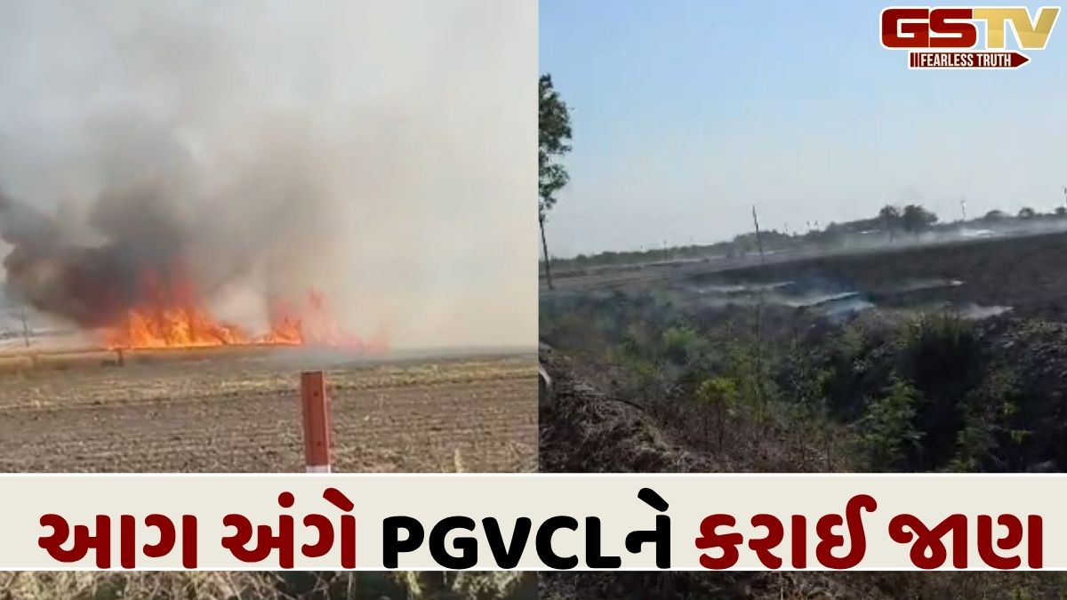 VIDEO RAJKOT: જેતપુરના દેરડી ગામે 5 વિઘાનો ઘઉંનો ઉભો પાક બળીને ખાખ, વીજ વાયરમાંથી તણખલા ખરતા આગ લાગવાનો ખેડૂતનો દાવો