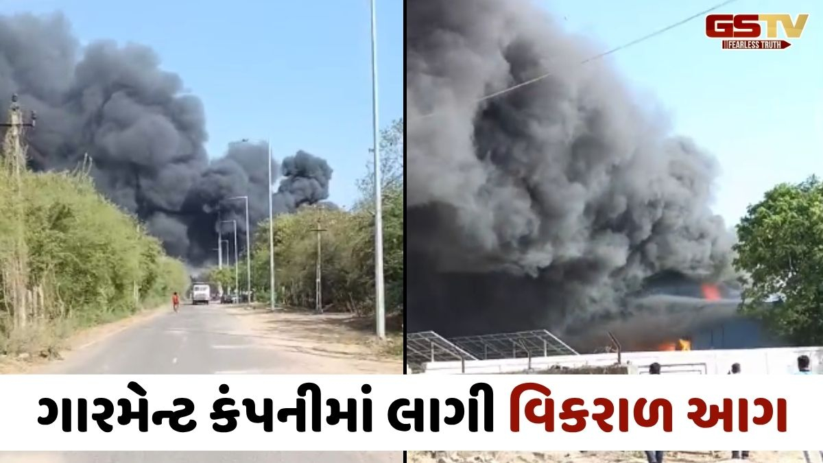 VIDEO: કંડલાના સ્પેશિયલ ઇકોનોમિક ઝોનની કંપનીમાં લાગી આગ, ધૂમાડાના ગોટેગોટા દૂર દૂર સુધી દેખાયા
