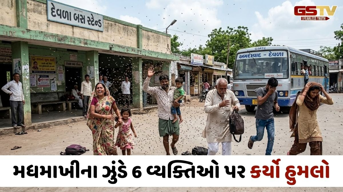Amreli news: દેવળા ગામે મધમાખીના ઝુંડે મચાવ્યો આતંક, 6 લોકોને ડંખ મારતા ગંભીર ઈજાગ્રસ્ત