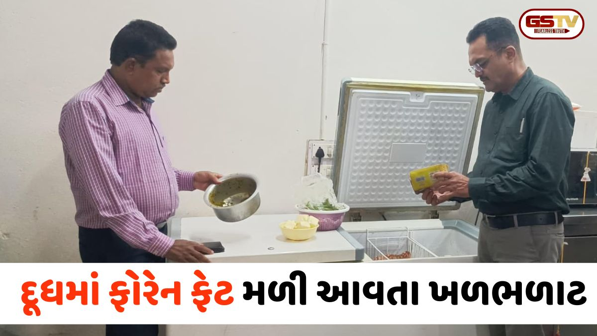 VIDEO: Rajkot / 23 ડેરીઓમાં તપાસનો ધમધમાટ, દૂધમાં ફોરેન ફેટ મળી આવતા ખળભળાટ