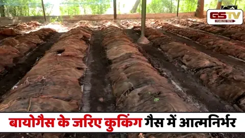 VIDEO : बायोगैस के जरिए गुजरात की संस्थाएं कुकिंग गैस में आत्मनिर्भर