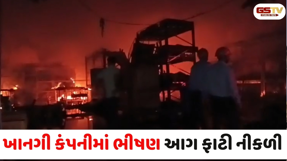 VIDEO: વડોદરાના રણોલી GIDCમાં આવેલી ખાનગી કંપનીમાં લાગી હતી ભીષણ આગ, સદનસીબે જાનહાની ટળી