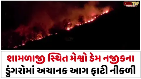 VIDEO: અરવલ્લીના શામળાજી મેશ્વો ડેમ પાસેના ડુંગર પર લાગી આગ, કાબુ મેળવવા પ્રયાસ ચાલુ