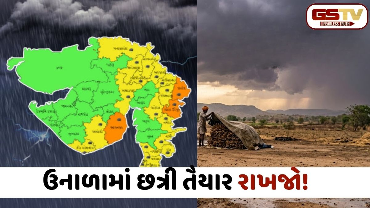 VIDEO: ગુજરાતમાં ભર ઉનાળે ચોમાસું! આગામી 48 કલાક ભારે, વીજળીના કડાકા સાથે માવઠાની આગાહી