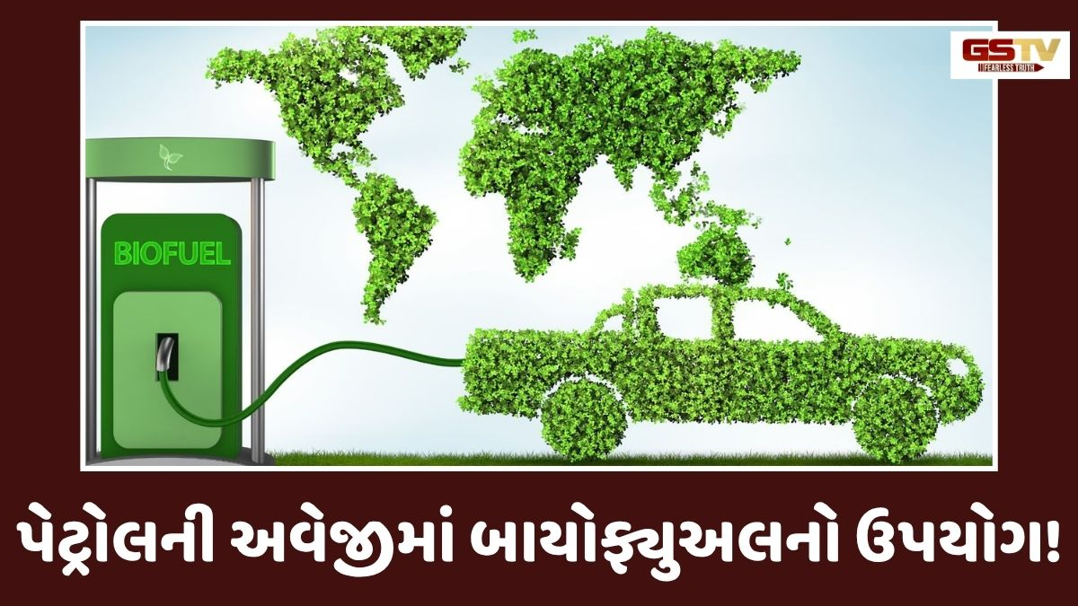Ravi Purti: પેટ્રોલ-ડીઝલની અછતનો વિકલ્પ: મોંઘું ક્રૂડ નહીં, સોંઘું બાયોફ્યુઅલ અપનાવો!