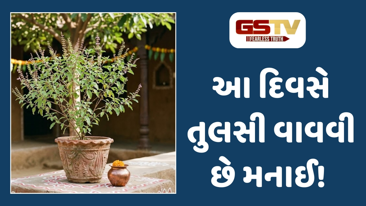 Religion : શું તમે પણ ગમે ત્યારે તુલસીનો છોડ વાવો છો? જાણો કયો દિવસ છે વર્જિત