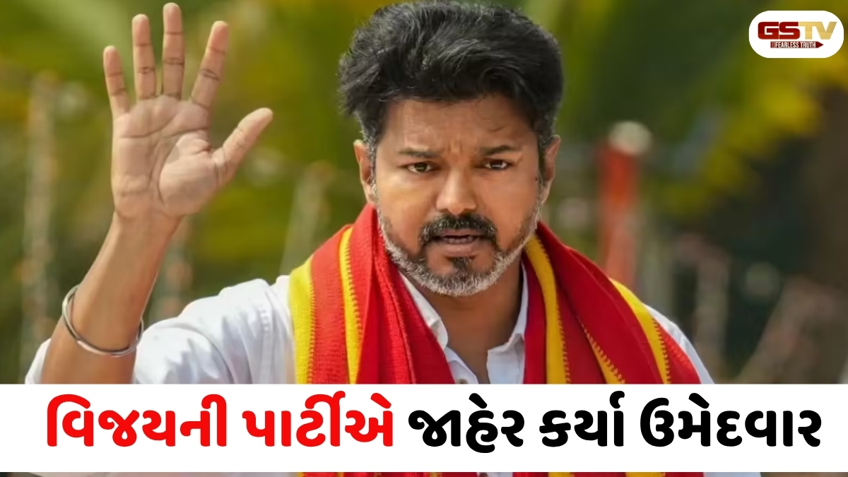 VIDEO: અભિનેતા વિજય બે બેઠકો પરથી લડશે ચૂંટણી, TVK પાર્ટીએ ઉમેદવારોની યાદીની કરી જાહેરાત