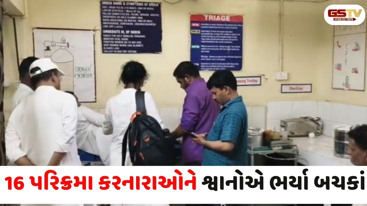 Narmada news: તિલકવાડામાં રખડતા શ્વાનોનો ભારે આતંક, 16 જેટલા પરિક્રમાવાસીઓને ભર્યા બચકા
