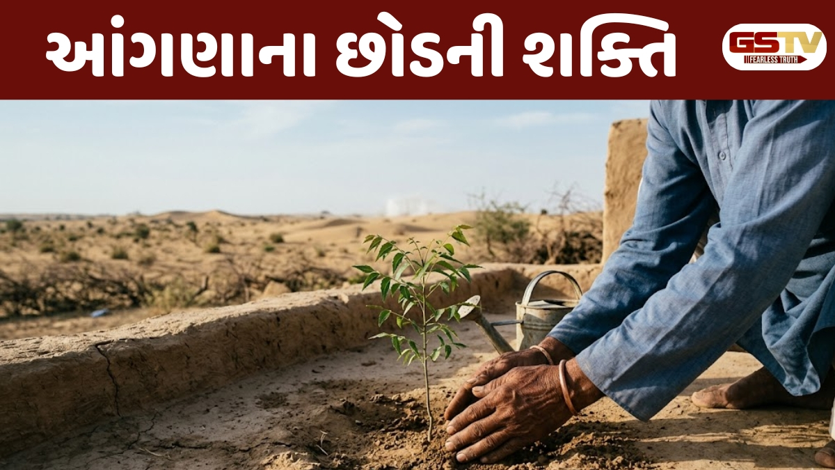Ravi Purti : પર્યાવરણ બચાવો: આંગણાના એક છોડમાં છુપાયેલી છે પૃથ્વીની સુરક્ષા