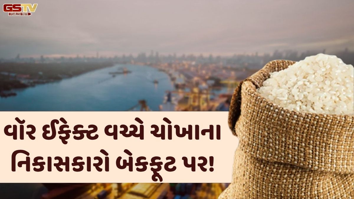 Business Plus: ઈરાન યુદ્ધની અસર વચ્ચે ભારતીય ચોખાના નિકાસ પર મોટી અસર!