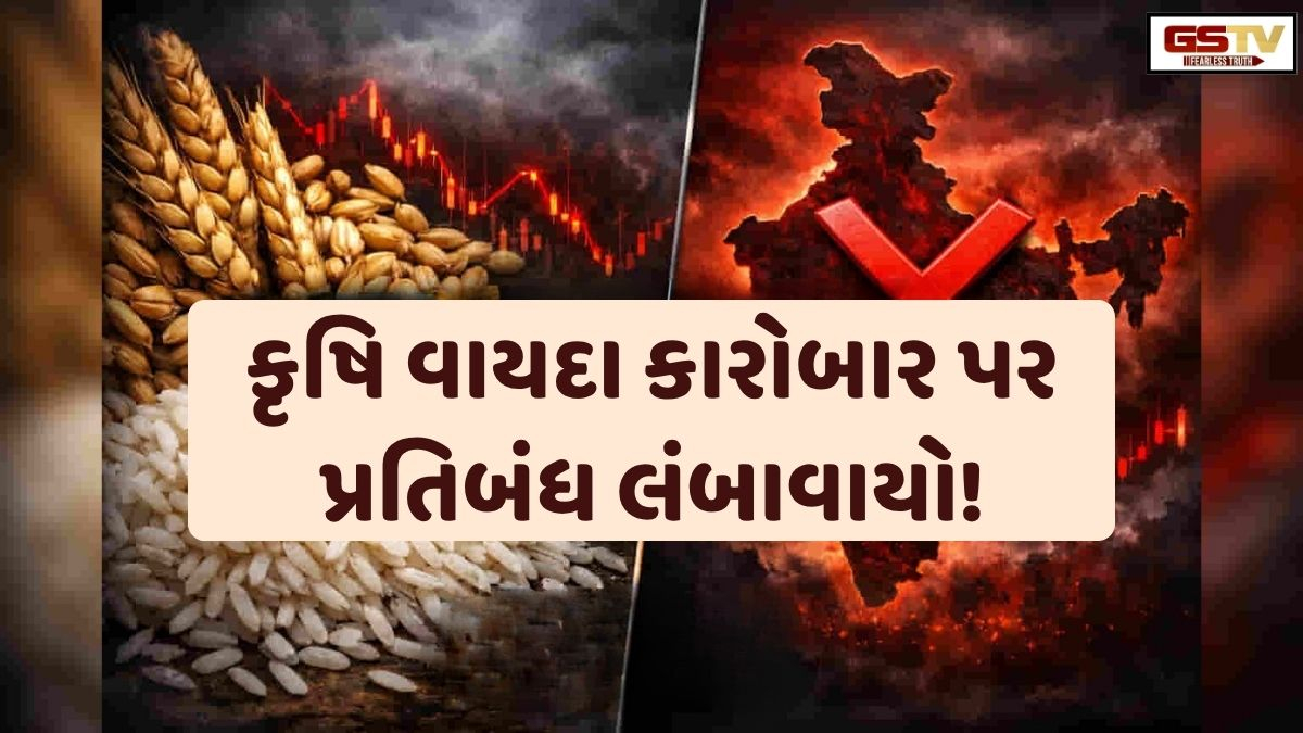 Business Plus: SEBIએ આ 7 વસ્તુઓના કૃષિ વાયદા કારોબાર પરના પ્રતિબંધમાં 1 વર્ષનો કર્યો વધારો!