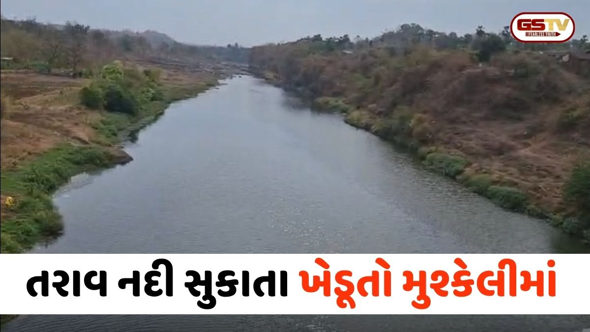 VIDEO: Narmada / દેડિયાપાડામાં જળ સંકટ, તરાવ નદી સુકાતા બોગજ સહિતના ગામોમાં સિંચાઈ માટે પાણીનો અભાવ