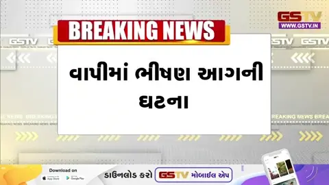 VIDEO: Valsad / ભંગારના 20થી વધુ ગોડાઉનોમાં ભીષણ આગ; કેમિકલ અને પ્લાસ્ટિકના જથ્થાને કારણે આગે વિકરાળ સ્વરૂપ ધારણ કર્યું