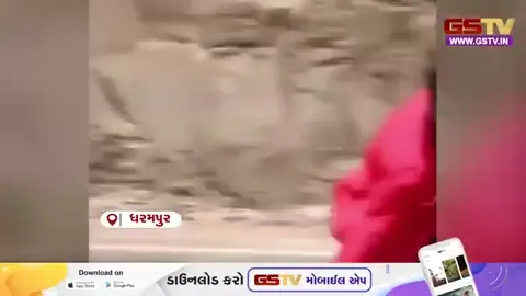 VIDEO: Valsad /  ધરમપુરના રાજપુરી જંગલ વિસ્તારમાં જીવના જોખમે સ્ટંટ કરતા યુવાનોનો વીડિયો વાયરલ