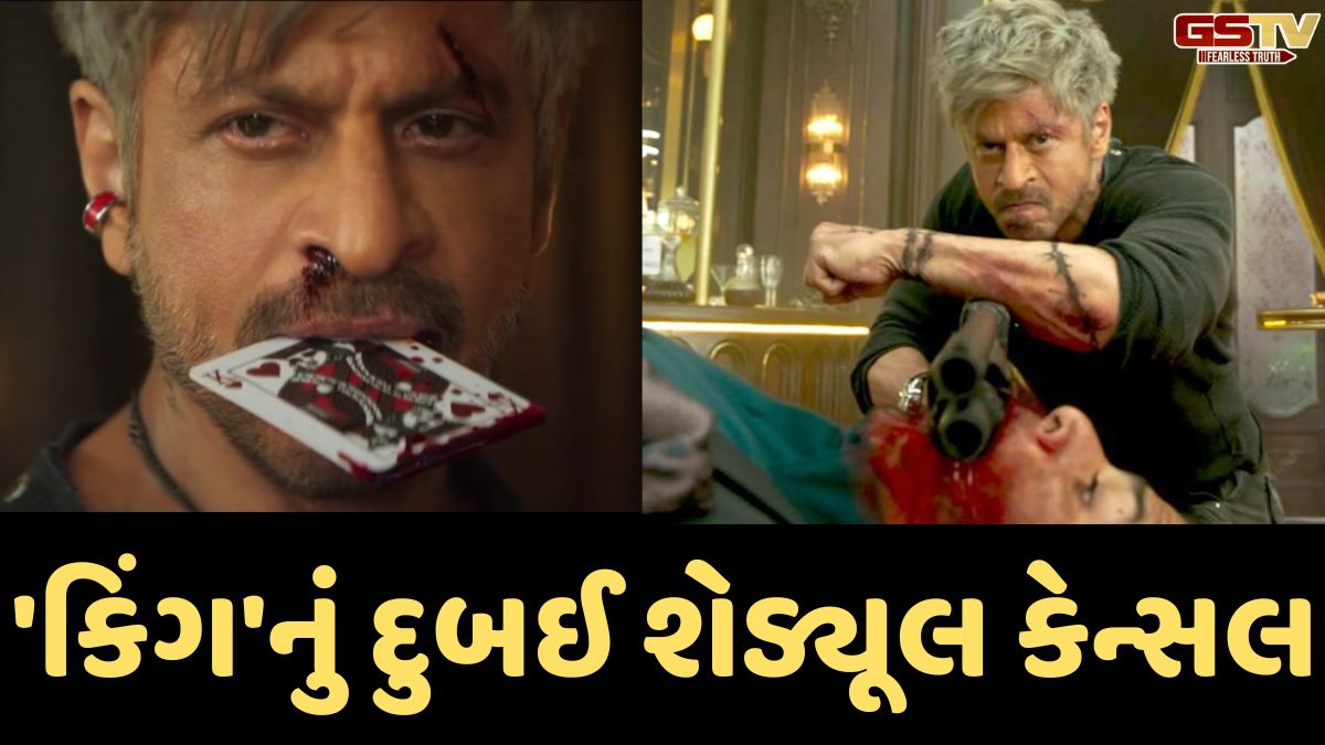 VIDEO: યુદ્ધના કારણે Shah Rukh Khanની 'King'નું દુબઈ શેડ્યૂલ કેન્સલ, હવે આ સ્થળે બનશે ભવ્ય સેટ