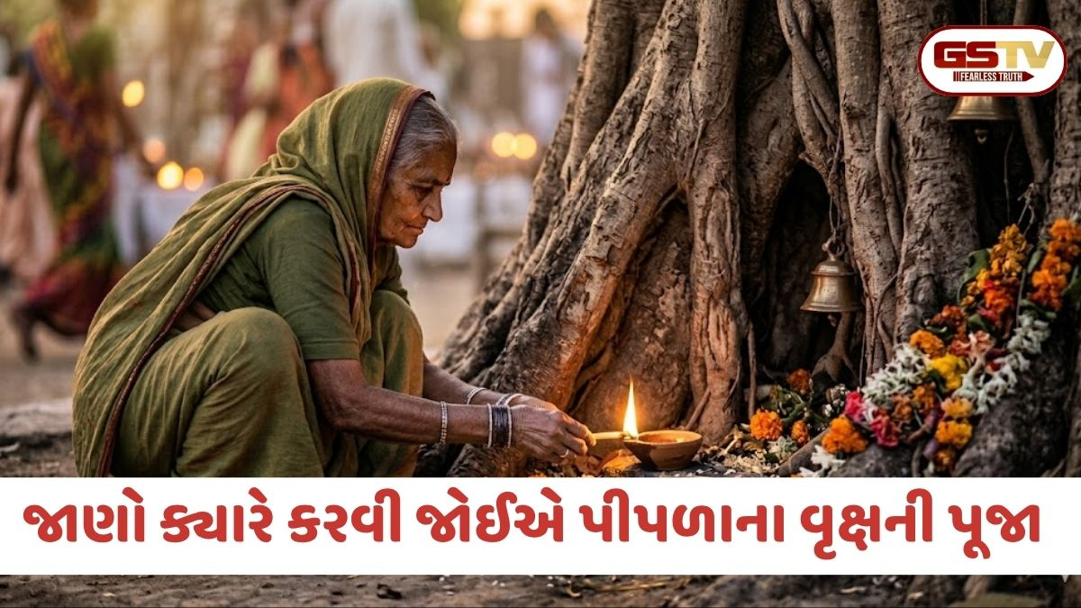 પીપળાના વૃક્ષની પૂજા કરતી વખતે ક્યારેય ન કરો આ ભૂલ, જાણો કયા સમયે પૂજા કરવાથી બદલાશે ભાગ્ય