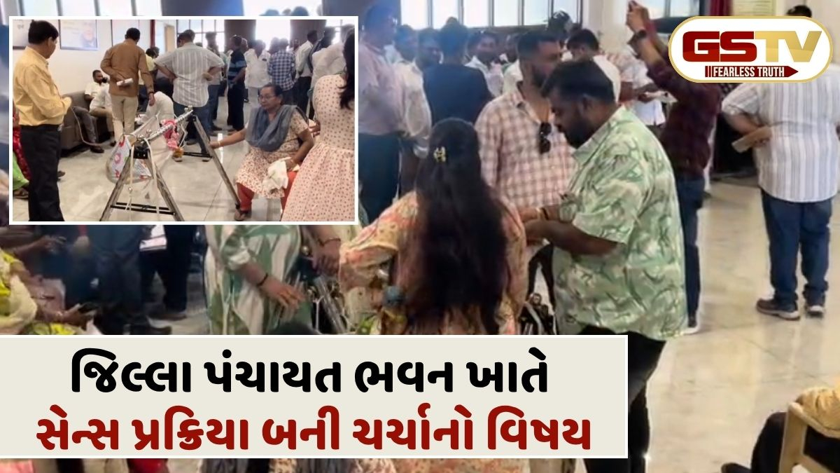 VIDEO: વડોદરામાં મહિલાનો માતૃપ્રેમ બન્યો ટોક ઓફ ધ ટાઉન