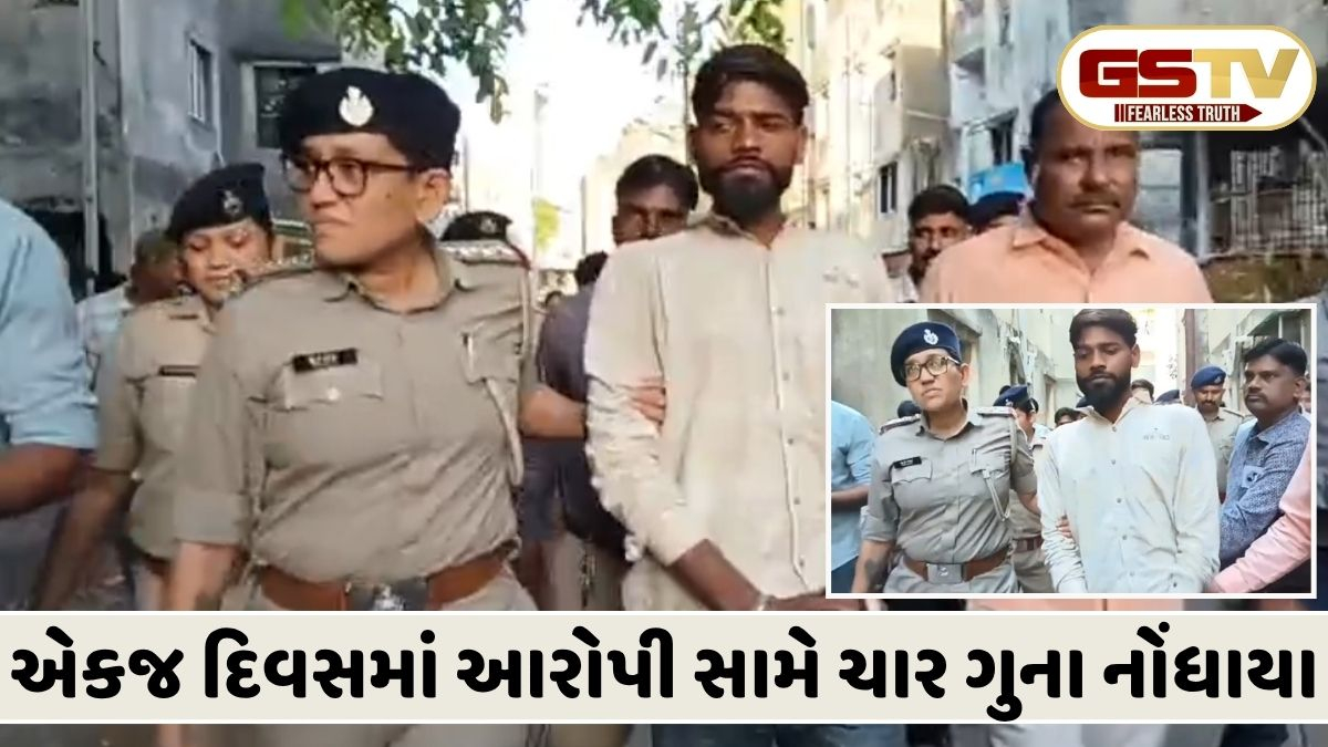 VIDEO: વડોદરામાં એક તરફી પ્રેમમાં પાગલ યુવાનનું પરાક્રમ; મહિલાની કરી છેડતી, સગર્ભાને મારી લાત