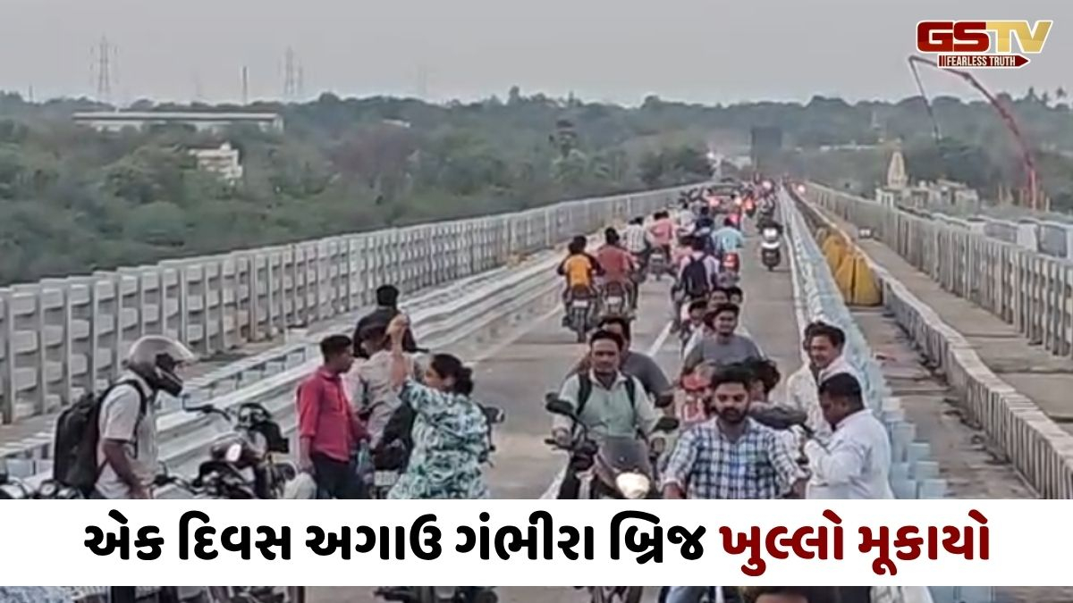 VIDEO: ગંભીરા બ્રિજ લોકો માટે ખુલ્લો મૂકાયો, હવે નોકરિયાત વર્ગને 60 કિમી લાંબા ફેરાથી મળશે છુટકારો