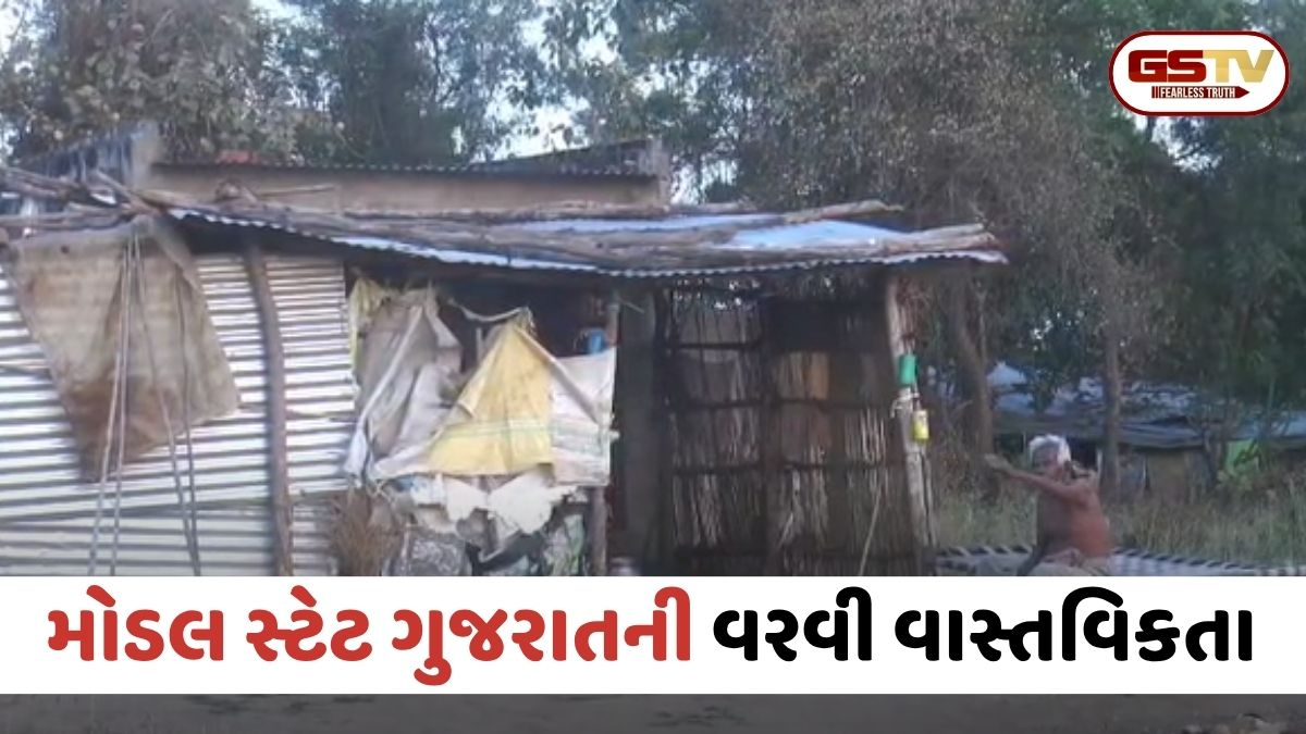 VIDEO: Chhota Udaipur / મોડલ સ્ટેટ ગુજરાતની વરવી વાસ્તવિકતા; બોડેલીના ઉંચાકલમમાં આઝાદીના દાયકાઓ બાદ પણ લાઈટ-પાણીના ફાંફા