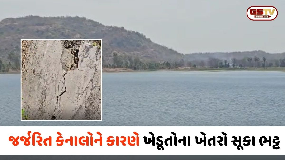 VIDEO: Chhota Udaipur / ડેમ છલોછલ હોવા છતાં ખેડૂતોના ખેતરો સૂકા ભટ્ટ; જર્જરિત કેનાલોને કારણે હજારો લીટર પાણીનો વેડફાટ