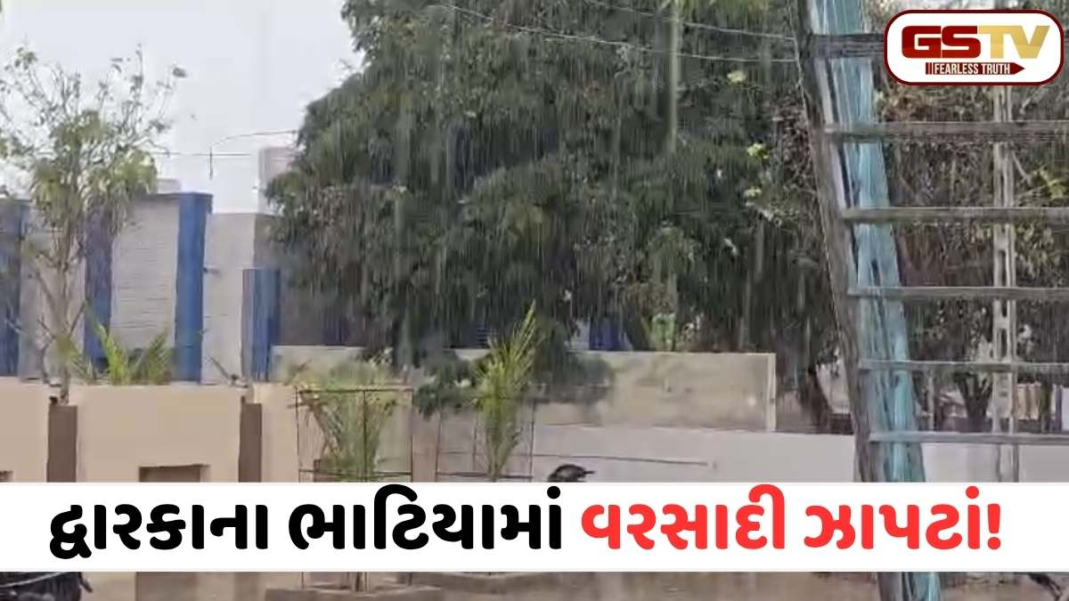 VIDEO: દેવભૂમિ દ્વારકા જિલ્લામાં ગાજવીજ સાથે કમોસમી વરસાદ, ખેડૂતોમાં ચિંતાનો માહોલ