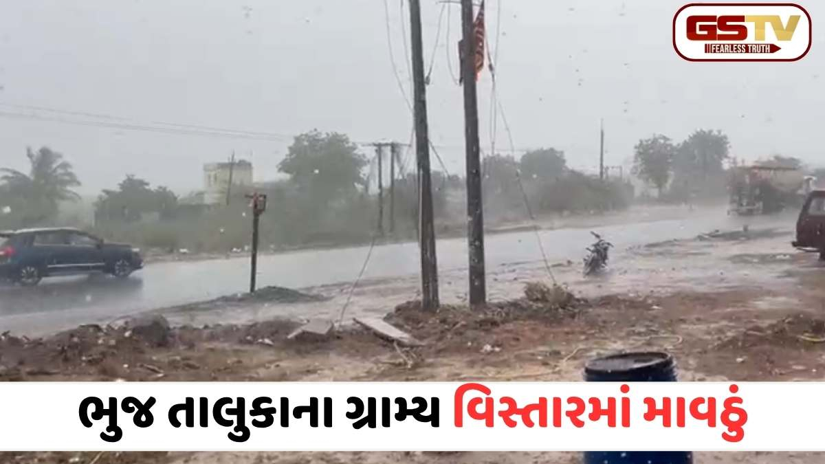 VIDEO: કચ્છના વાતાવરણમાં જોરદાર પલટો: ભુજ અને ખાવડા પંથકમાં વરસાદી ઝાપટાં, ખેડૂતોના જીવ અધ્ધર
