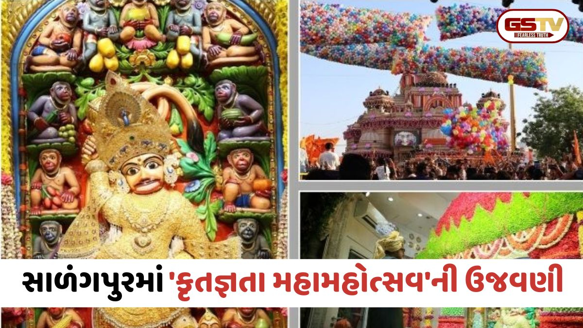 Botad / હનુમાન જયંતી નિમિત્તે સાળંગપુરમાં 'કૃતજ્ઞતા મહામહોત્સવ'ની ઉજવણી, દાદાને 8 કિલો શુદ્ધ સોનાના નૂતન વાઘા અર્પણ કરાયા