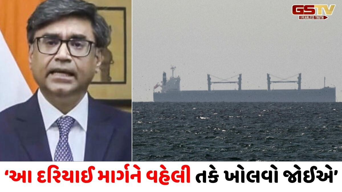 'ભારત એકમાત્ર દેશ જેણે પોતાના નાવિક ગુમાવ્યા...', ગ્લોબલ હોર્મુઝ સ્ટ્રેટ મિટિંગમાં કરી સ્પષ્ટતા