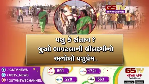 VIDEO: આંધ્રપ્રદેશમાં મહિલાએ બળદોને સંતાનની જેમ ઉછેર્યા, શિંગડા સજાવીને કરે છે પૂજા