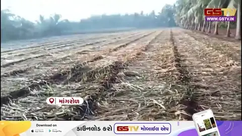 VIDEO: JUNAGADHના માંગરોળ-ચોરવાડ નજીક દરિયાઇ પટ્ટી પર સર્જાયો વરસાદી માહોલ, ખેડૂતોની ચિંતામાં વધારો