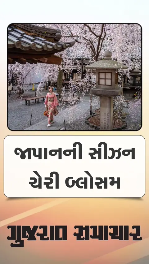 જાપાનની જગ વિખ્યાત ચેરી બ્લોસમ સીઝન