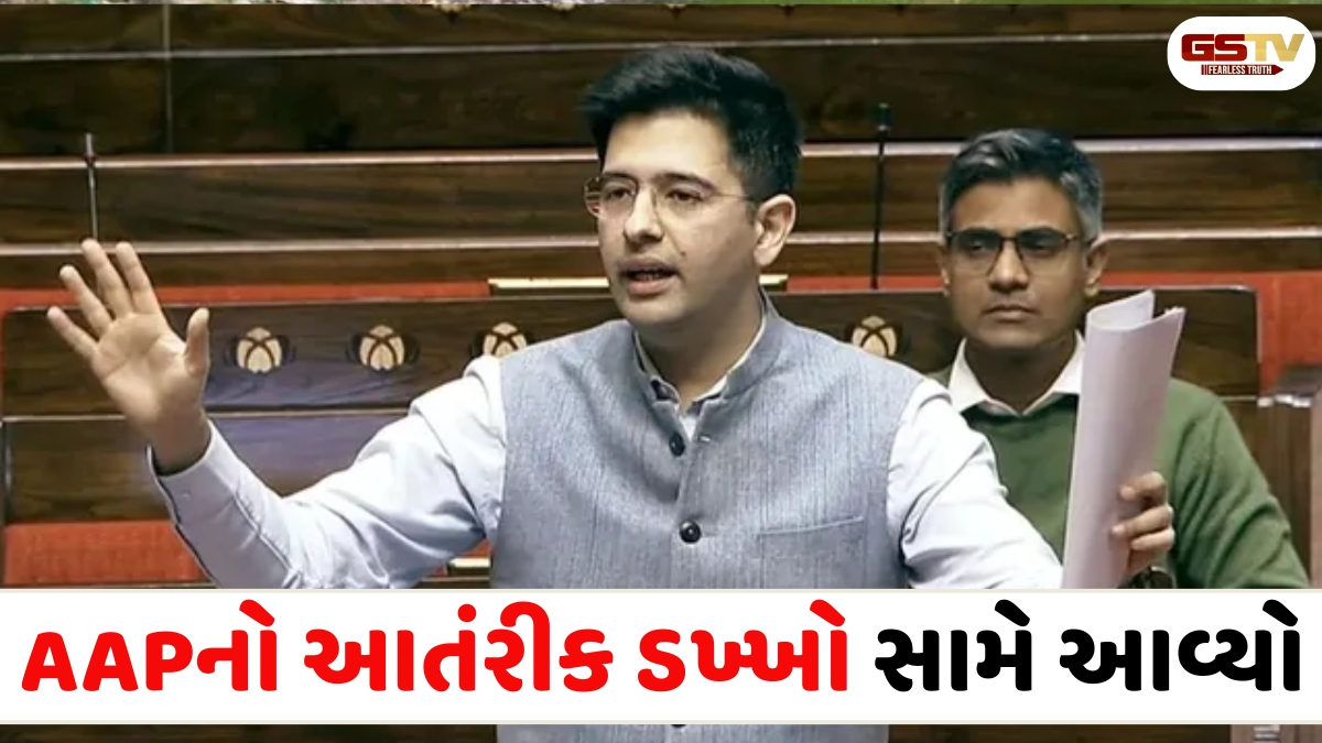 VIDEO: જનતાનો મુદ્દો ઉઠાવીને મેં શું ગુનો કર્યો?', AAPના એક્શન બાદ રાઘવ ચઢ્ઢાનો કેજરીવાલને જવાબ