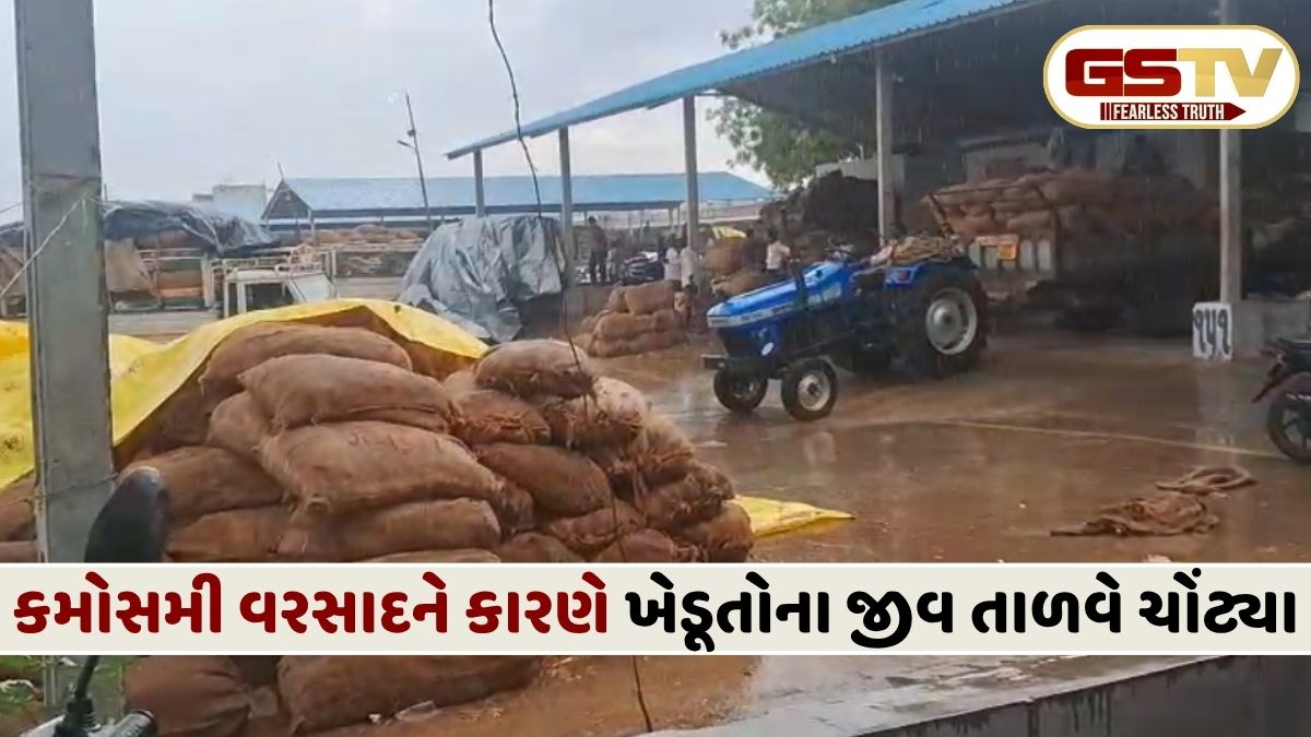 VIDEO: મહેસાણાના બહુચરાજી, ઉનાવા અને મોઢેરામાં કમોસમી વરસાદ, ભર ઉનાળામાં ઠંડક પ્રસરી