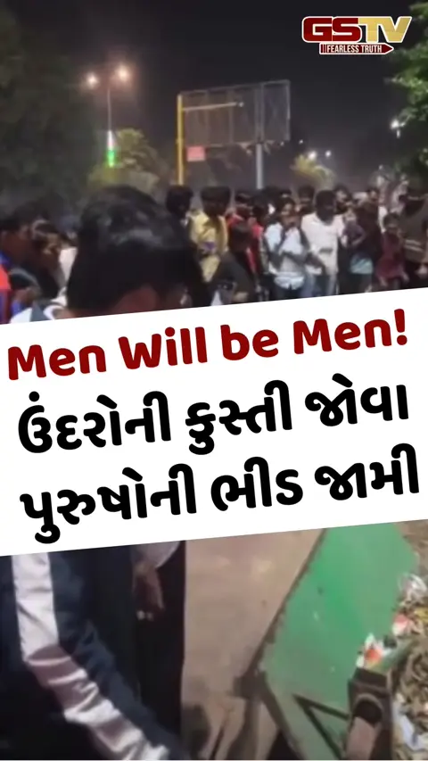 Viral Video: Men Will be Men! ઉંદરોની કુસ્તી જોવા પુરુષોની ભીડ જામી