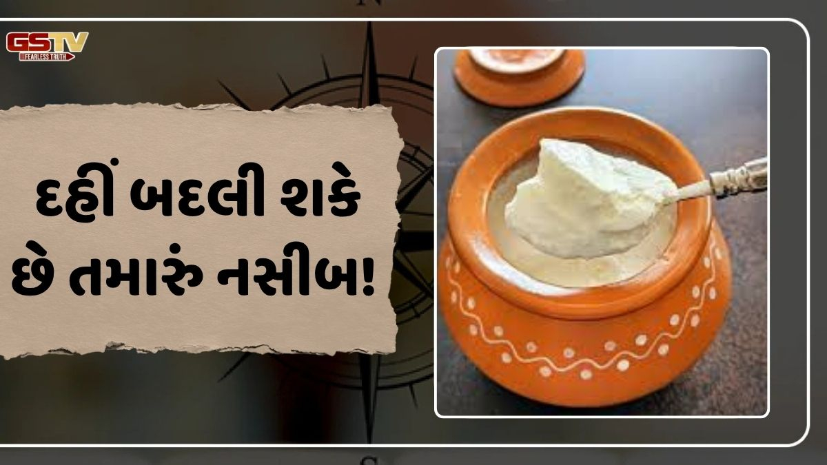 Vastu Tips: દહીં માત્ર સ્વાસ્થ્ય જ નહીં પણ નસીબ પણ સુધારી શકે છે, યોગ્ય રીતે આ વાસ્તુ ઉપાયોનું કરો પાલન!