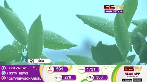VIDEO:  ડોડામાં આકાશી આફત: ભારે વરસાદથી જમ્મુ-કાશ્મીરમાં હાઈ એલર્ટ, નદીઓ ગાંડીતૂર થતા જનજીવન અસરગ્રસ્ત