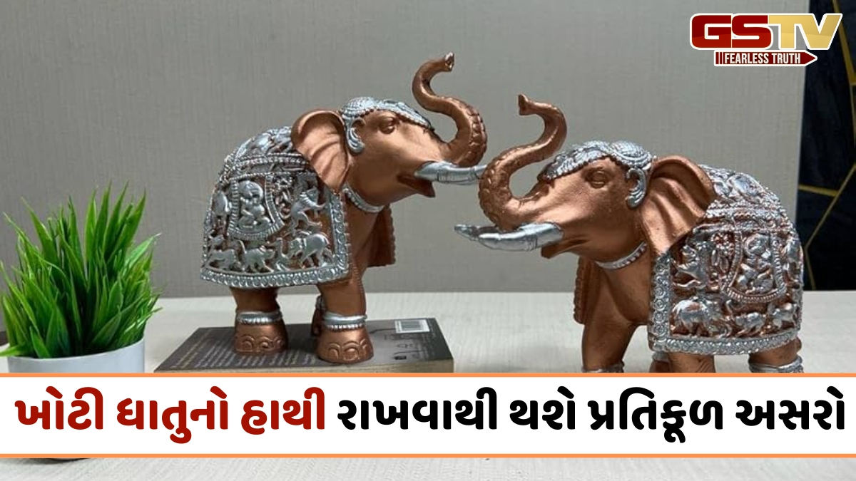 વાસ્તુ દોષ દૂર કરવા માટે ઘરમાં કઈ ધાતુનો હાથી રાખવો જોઈએ? જાણો સાચી દિશા અને નિયમો