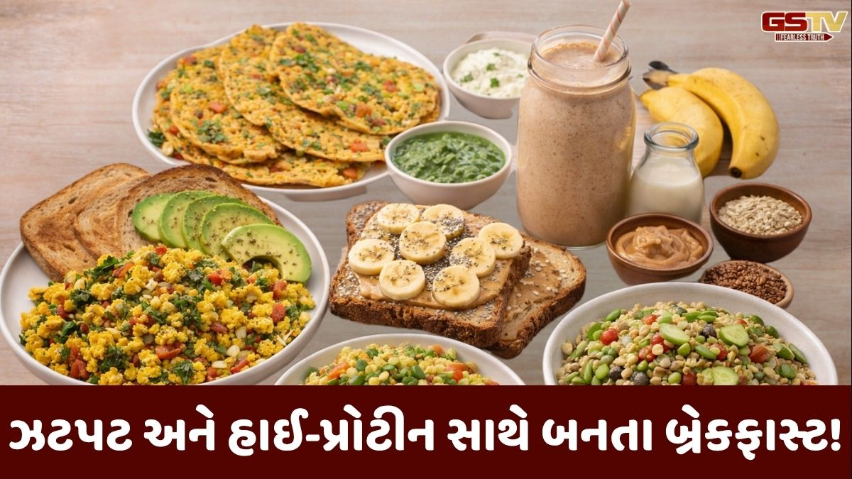 VIDEO: Recipe/ બેચલર્સ માટે 4 ઝટપટ બનતા હાઈ-પ્રોટીન બ્રેકફાસ્ટ, જે સ્વાદ અને સેહતથી છે ભરપૂર!