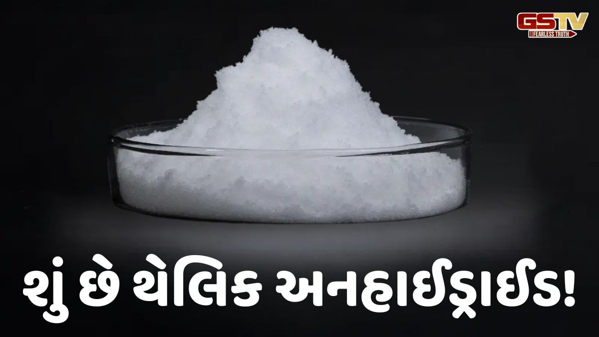 Business Plus: શું છે થેલિક અનહાઈડ્રાઈડ! જેનો ઉપયોગ પ્લાસ્ટિક બનાવવામાં થાય છે