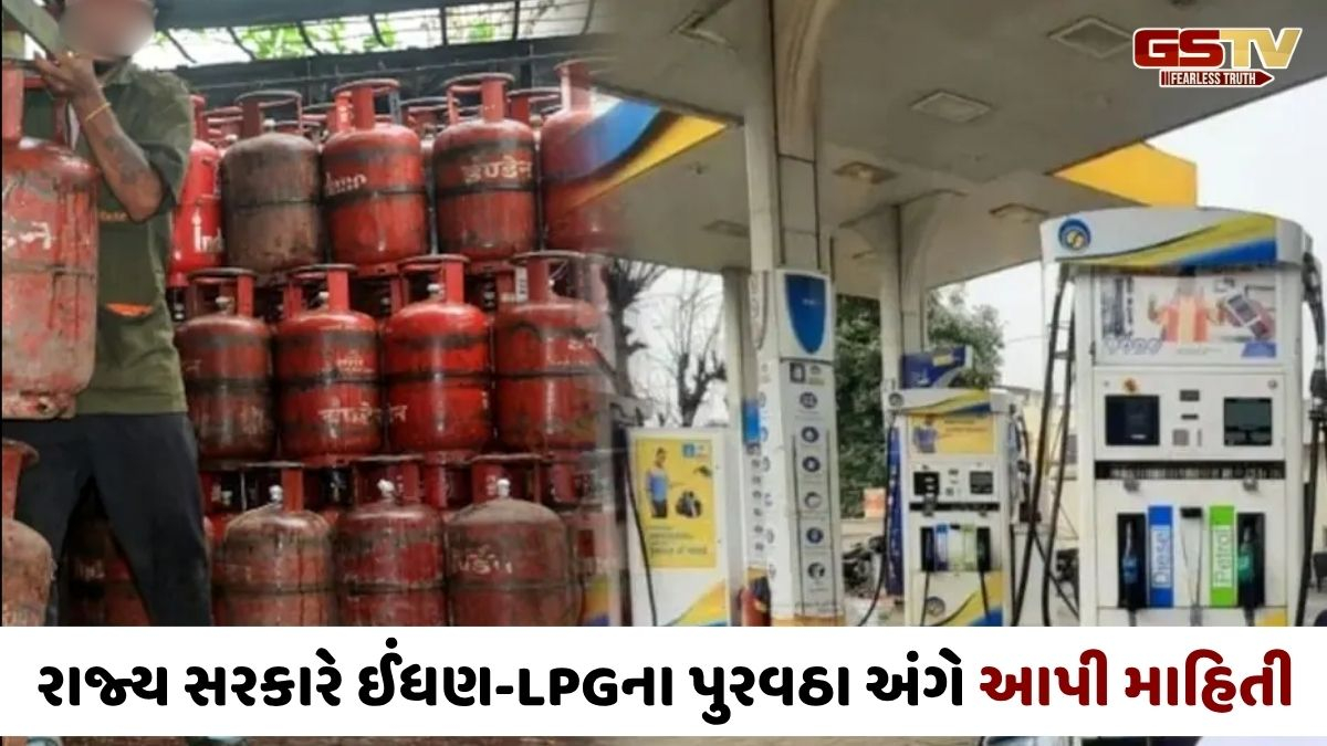 Gandhinagar news: રાજ્યમાં પેટ્રોલ-ડીઝલ અને LPG પુરવઠાની હાલની સ્થિતિ અંગે સરકારે આપી માહિતી,  નાગરિકોને કરી આ અપીલ
