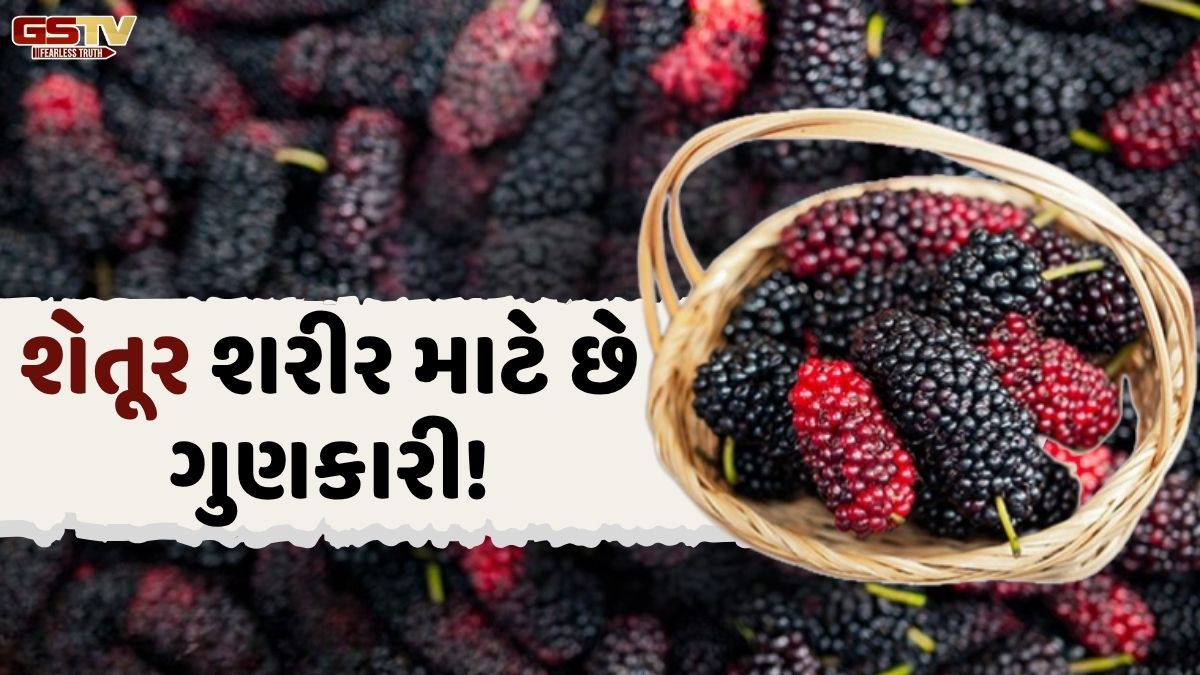 Sahiyar: શેતૂરમાં છૂપાયેલા છે અનેક ગુણ, જાણો કઈ રીતે છે ઉપયોગી