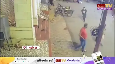 VIDEO: Vadodaraમાં કુખ્યાત બિચ્છુ ગેંગે ફરી માથું ઊંચક્યું, ઘાતક હથિયારો વડે કર્યો હુમલો