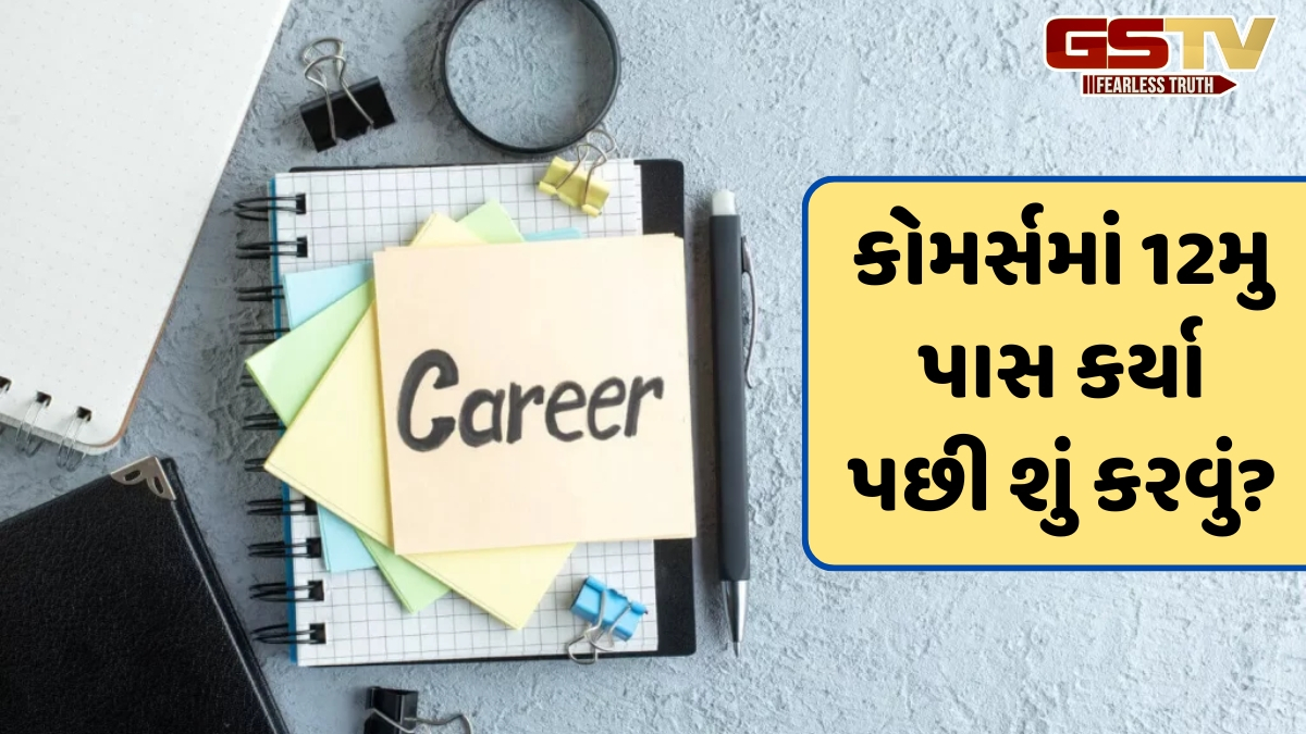 VIDEO: 12મા કોમર્સ બાદ આ ક્ષેત્રોમાં બનાવી શકો છો કારકિર્દી, જાણો ટોપ કરિયર ઓપ્શન
