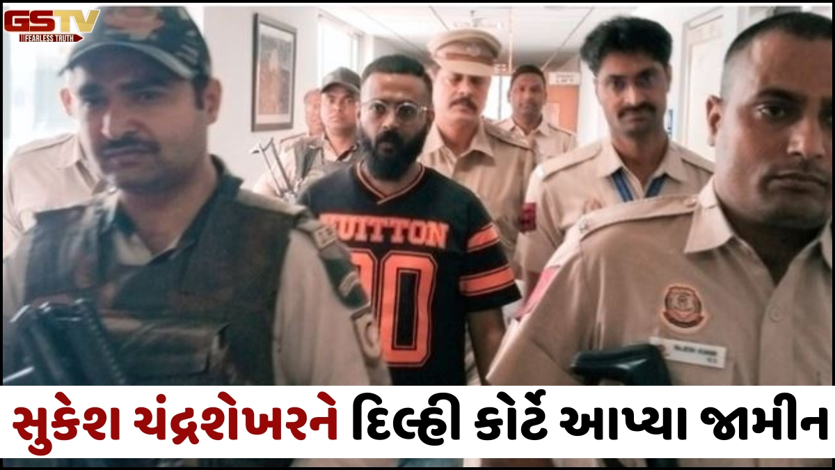 VIDEO: મની લોન્ડરિંગ કેસમાં મહાઠગ Sukesh Chandrashekharને દિલ્હી કોર્ટે આપ્યા જામીન, મૂકી આ 4 શરત