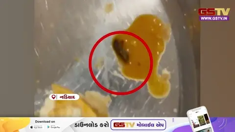 VIDEO: નડિયાદની ધ ગ્રાન્ડ જ્યોતિ દાળપૂરીના પાર્સલમાંથી વંદો નીકળ્યો, ફૂડ એન્ડ ડ્રગ્સ વિભાગે હાથ ધરી કાર્યવાહી