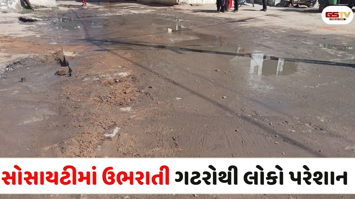 VIDEO: શહેરાની સોસાયટીમાં ઉભરાતી ગટરો અને ડ્રેનેજ લાઈનના ગંદા પાણીથી રહિશો ત્રાહિમામ, તંત્ર સામે કરી આ માંગ