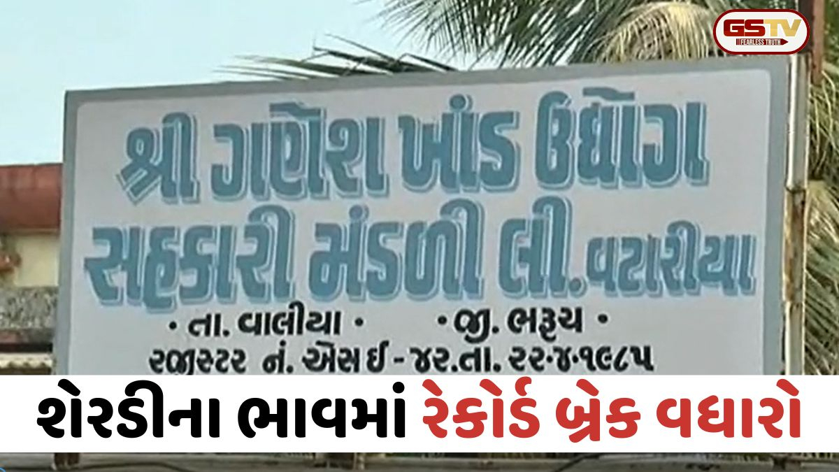 VIDEO: Bharuch / શેરડીના ભાવમાં રેકોર્ડ બ્રેક વધારો, ટન દીઠ રૂ.3,101 જાહેર કરાતા ખેડૂતોમાં આનંદની લહેર